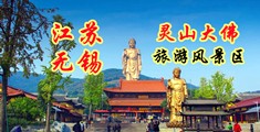 在线无码馒江苏无锡灵山大佛旅游风景区