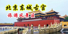 国模打炮中国北京-东城古宫旅游风景区